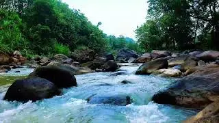 Tranquil River Sounds for Meditation and Focus &ndash; 12H Flow