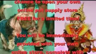 40 Billion Dollar Pet Industry in 2009