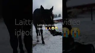 Mul ei oo yht&auml;&auml; hyvi&auml; video ideoita🎉😍 #jee #help #video #shorts #fypシ゚ #horse #hepat #equestrian