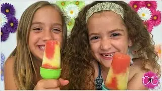 WATERMELON & PINEAPPLE CREAM SWIRL POPSICLES!