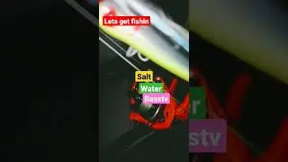 4 rods on deck night fishing time southwest florida fishing videos sw bass tv