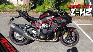 Living With The Z-H2 | Dr jekyll Or Mr Hyde??