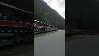 White pass & Yukon railway #skagway #alaska #usa #train #excursions #cruiseship #norwegiancruiseline