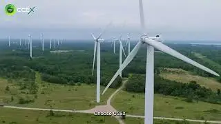 A new era of green finance: CCEX leads the digital carbon trading revolution