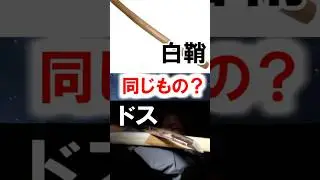 【日本刀】日本刀の「白鞘」と「ドス」って同じもの？　  #Shorts
