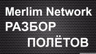 Merlim Network разбор полётов