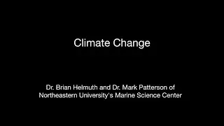 Climate Change - Northeastern University - Future Frogmen