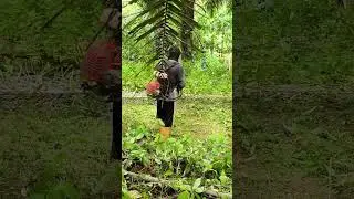 LINK PEMBELIAN DI RUANG KOMEN OGAWA BG430 #mesinrumput #review #unboxing