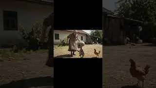 Puiul la probe #funny #extraterestru #memes #baba #humor #viral #fyp #shorts #alien