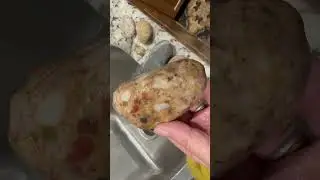 Pudding stone that my husband found on our first rock hunt ever.