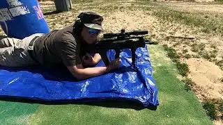 Springfield Armory Hellion & GRIP POD--Works Great!