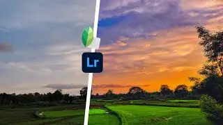 Snapseed and Lightroom Wonderful Nature Photo Editing | Nature Photo Editing