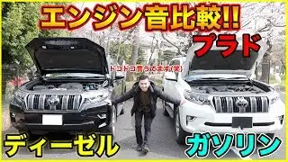 【エンジン音比較!!】ランドクルーザープラドのディーゼルとガソリンのエンジン音を比較してみた結果、やはりディーゼルは男らしかった(笑)