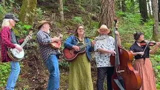 BackPorch Banjo ~ Crooked Tree [cover-live]