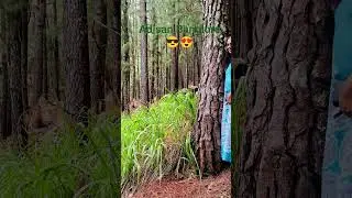 nuweraliya adesan bangolure