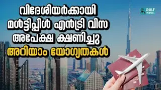 Blue Residency Visa : യുഎഇയുടെ നീല റെസിഡൻസി വിസ: 180 ദിവസ മൾട്ടിപ്പിൾ എൻട്രി വിസ അപേക്ഷ ക്ഷണിച്ചു