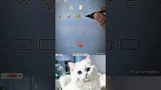 check your device 💀 #funny #cat #memes #trending