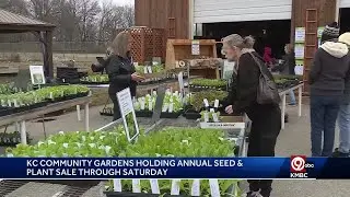 Kansas City Community Gardens holding annual seed and plant sale