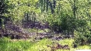 Homes for Sale - 4170 DEER BROOK LN Blanchard WI 53516 - Gerald Burkett
