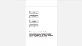 Introduction to the Study of Nutrition  and Human Organ System|AKU-EB|Food and Nutrition|Grade 9|1