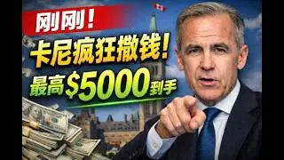 哈珀重磅發聲：加拿大的爛攤子，別再全甩給川普了；刚刚！中國車被直接踢出局  卡尼23億瘋狂撒錢：買電動車最高拿$5000；異常！溫哥華43年來首次冬天無雪？（《港灣播報》20260205-1 JZJ）