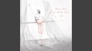 Petit Allegro 3