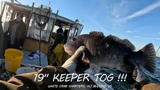 Отличный день рыбалки на черного окуня/таутога с ребятами 🎣 - White Crab Charters, Нью-Джерси 🦀 ч...
