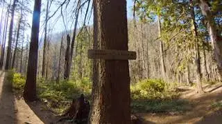 Eagle Creek Trail - Hike to 4 1/2 mile bridge in 360 (Columbia River Gorge)