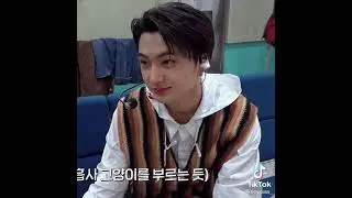Jay is allergic to cat but has his own cat,Jungwon🐈 the way he called Jungwon's name😭✋ #jay #jungwon