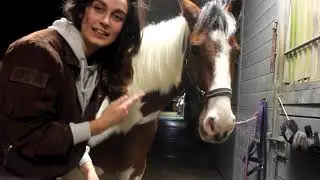 Routine avant/après séance - SONIA 🐎