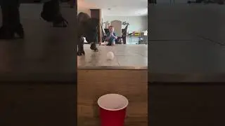 Little brother is learning to be a master #trickshot