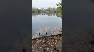 Совсем скоро мы снова отправимся на 48-часовую рыбалку 🫡. Присоединяйтесь к нам в наших карповых ...