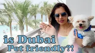 Is Dubai pet friendly?