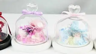 Kunming sgs factory wholesale Carnation love preserved flower in glass dome