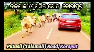 Koraput Tourist Places Talamali || ତଳମାଳି କୋରାପୁଟ || Talamali Koraput || @trvellerDD