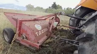 MULCZEROWANIE  TAARUP.