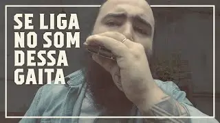 Pela Estrada da M&uacute;sica #10 - Review da gaita de boca diat&ocirc;nica blues harp da Hohner
