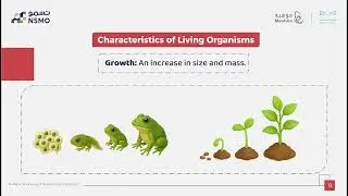 NSMO Olympiad -Biology- Lesson 1 The Cell and Characteristics of Living Organisms