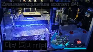 Een Zeewateraquarium opstarten #4 / De Sump!