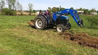 The Wheat Experiment; can I grow my own wheat for flour? #farming #homesteading #farmlife
