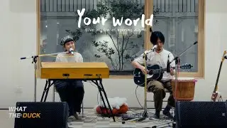 Plastic Plastic - Your World (Live session at 'Alive' album opening)