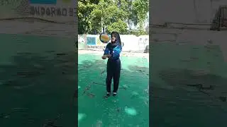 Tugas ASAS Plejaran PJOK , Nama Resty Cahyani kelas X AKL 1,#smk yos sudarso kwt