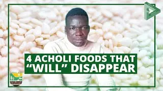 Four Acholi Foods That Will Disappear - CLIMATE CHANGE | Acoli Pro Evo TV