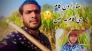 Sara Din kam Hi Kam bus  🤔Kabhi ghar ka kam Kabhi janvaron ka  my now vlog  Sagar ali Channar 