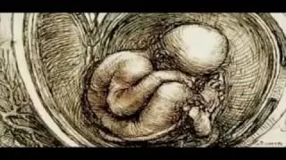 Anatom&iacute;a humana, proporci&oacute;n &aacute;urea / Leonardo da Vinci