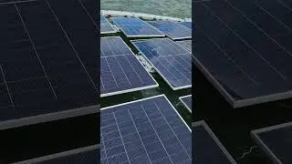 Stunning Floating Solar Farm: A New Era in Renewable Energy #renewableenergy #automobile #solarpower