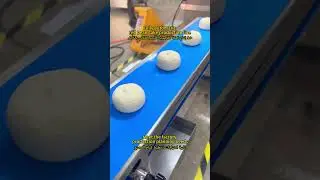 Shanghai Chengtao Automatic RedBean Bun Production Line Perfectly Sweet,Wrapped -At Industrial Scale
