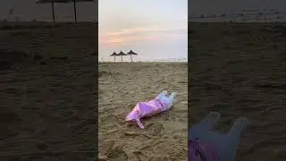 Who knows! I met a stranded mermaid on the beach. It turns out that mermaids are white and furry 😹