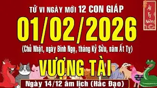 Tử vi ngày mới, Chủ Nhật (1/2/2026) của 12 con giáp, chuẩn xác nhất #tuvihangngay #tuvi2026