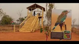 Redefining Ecotourism at Nagi-Nakti Bird Sanctuary! Over 200 species of migratory and resident birds